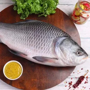 Fresh Fish - Fresh